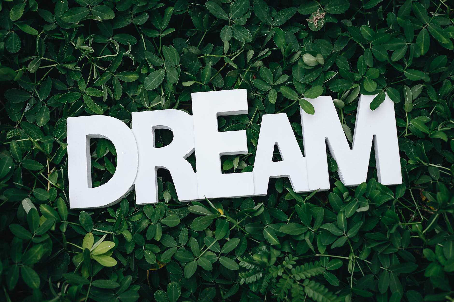 Controlling Dreams – What Do You Think About