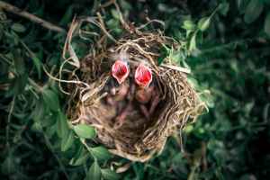 Philosophical Debates Everyone Should Know – Meaning of Life