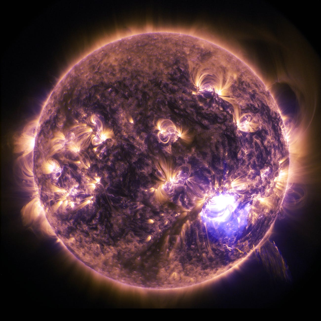 Better Planet To Live On Than Earth Has Been Discovered – Kepler 442