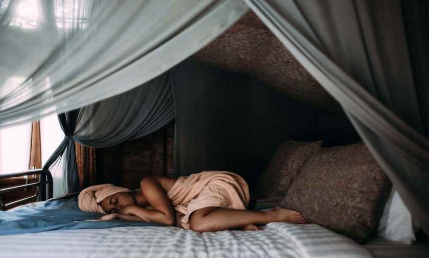 Secrets of Sleep and Why We Sleep and Do Animals Sleep Too?